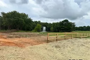 Lot 1 Oak River, Frankston, TX 75763 - Photo 6