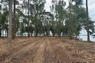 Lot 1 Oak River, Frankston, TX 75763 - Photo 14