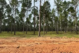 Lot 1 Oak River, Frankston, TX 75763 - Photo 2