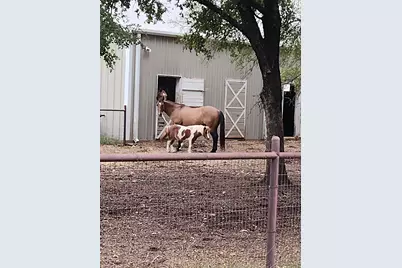 613 Bone Road, Valley Mills, TX 76689 - Photo 28