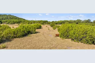 Lot 4 Fm 216, Iredell, TX 76649 - Photo 6