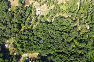 462 Co Rd 3911, Jacksonville, TX 75766 - Photo 34