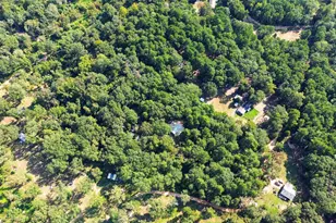 462 Co Rd 3911, Jacksonville, TX 75766 - Photo 40