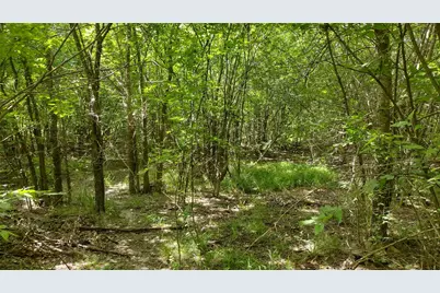 6266 Turkey Oak, Josephine, TX 75189 - Photo 16