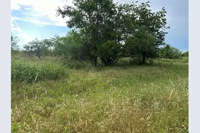 4060 Mirielle Drive, Aledo, TX 76008 - Photo 6