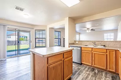 14157 Esperanza Drive, Fort Worth, TX 76052 - Photo 16