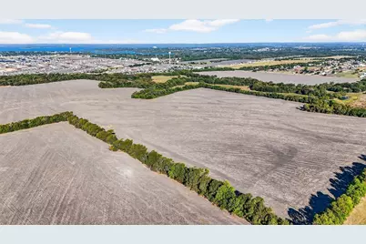 Tbd Fm 6, Nevada, TX 75173 - Photo 10