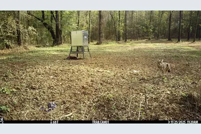 Tbd C R 354, Winona, TX 75792 - Photo 30