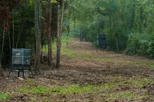 Tbd C R 354, Winona, TX 75792 - Photo 1