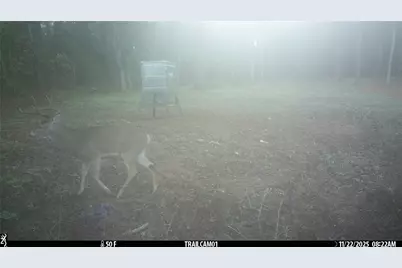 Tbd C R 354, Winona, TX 75792 - Photo 36