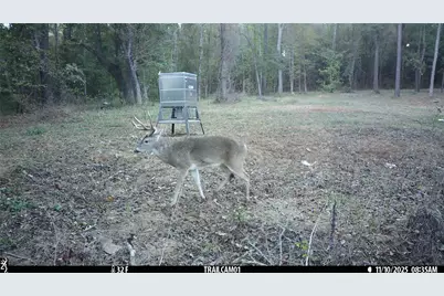 Tbd C R 354, Winona, TX 75792 - Photo 2