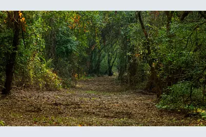 Tbd C R 354, Winona, TX 75792 - Photo 8