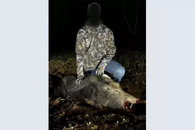 Tbd C R 354, Winona, TX 75792 - Photo 32