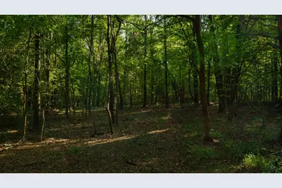 Tbd C R 354, Winona, TX 75792 - Photo 26