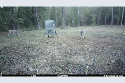 Tbd C R 354, Winona, TX 75792 - Photo 40