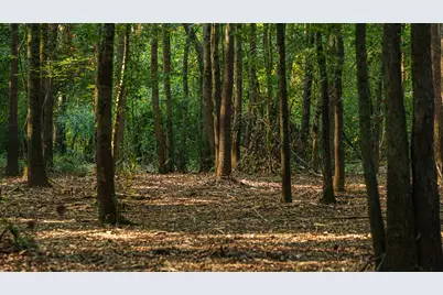 Tbd C R 354, Winona, TX 75792 - Photo 22