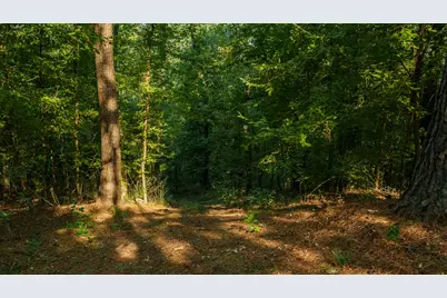 Tbd C R 354, Winona, TX 75792 - Photo 24