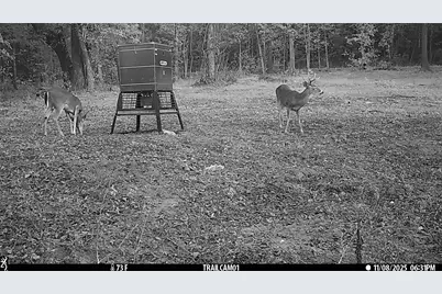 Tbd C R 354, Winona, TX 75792 - Photo 4