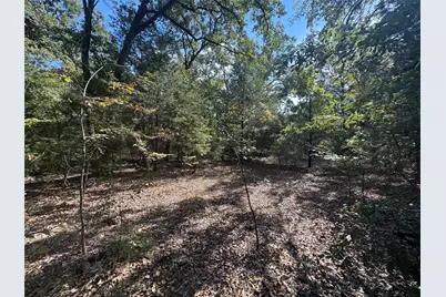 145 Kiowa Drive, Mabank, TX 75156 - Photo 10