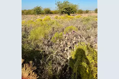 2812 Lucky Pepper Drive, Cresson, TX 76035 - Photo 6