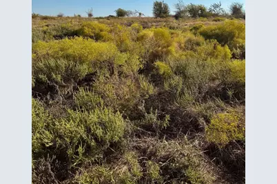 2812 Lucky Pepper Drive, Cresson, TX 76035 - Photo 1