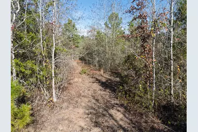 00 Mistletoe Road, Gilmer, TX 75644 - Photo 10