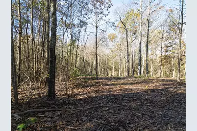 00 Mistletoe Road, Gilmer, TX 75644 - Photo 16