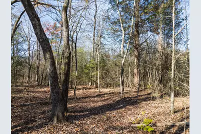 00 Mistletoe Road, Gilmer, TX 75644 - Photo 32