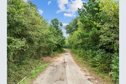 00 Mistletoe Road, Gilmer, TX 75644 - Photo 6