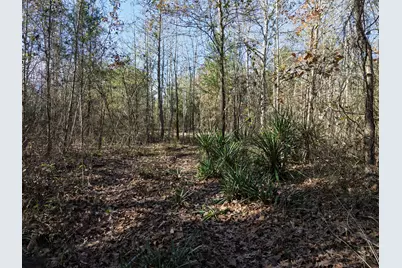 00 Mistletoe Road, Gilmer, TX 75644 - Photo 34