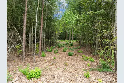 00 Mistletoe Road, Gilmer, TX 75644 - Photo 8