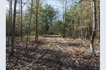 00 Mistletoe Road, Gilmer, TX 75644 - Photo 28