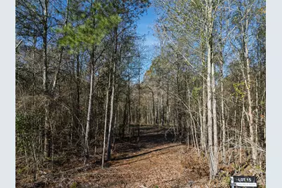 00 Mistletoe Road, Gilmer, TX 75644 - Photo 4