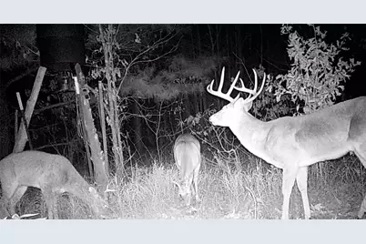 00 Mistletoe Road, Gilmer, TX 75644 - Photo 2