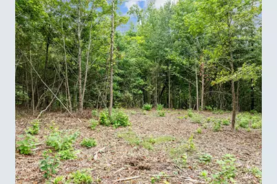 00 Mistletoe Road, Gilmer, TX 75644 - Photo 1