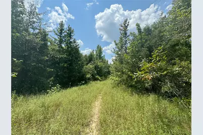 00 Mistletoe Road, Gilmer, TX 75644 - Photo 12