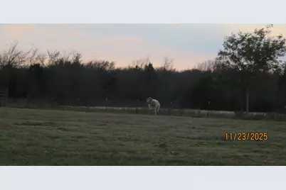 1780 County Road 4109, Campbell, TX 75422 - Photo 28