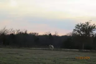 1780 Co Rd 4109, Campbell, TX 75422 - Photo 28