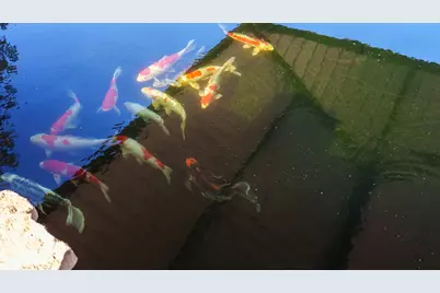 1639 Bloomfield Road, Valley View, TX 76272 - Photo 18