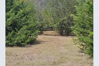 2611 Zachary Drive, Blue Ridge, TX 75424 - Photo 16