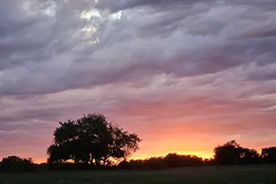 2611 Zachary Dr, Blue Ridge, TX 75424 - Photo 20