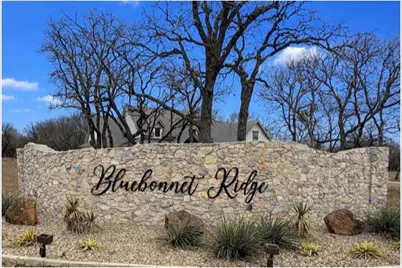 3000 Wyatts Way, Weatherford, TX 76087 - Photo 2