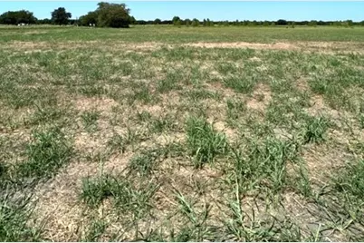 Tbd County Road 1240, Savoy, TX 75479 - Photo 1