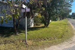 3016 Payne St, Wills Point, TX 75169 - Photo 6