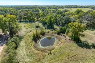 9509 FM 17, Grand Saline, TX 75140 - Photo 4