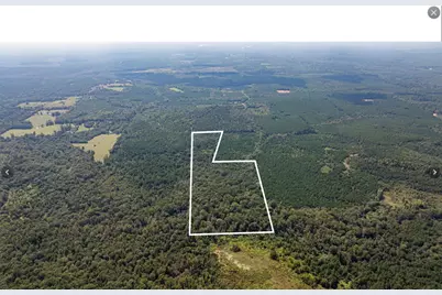 Tbd County Road 1582, Avinger, TX 75630 - Photo 8