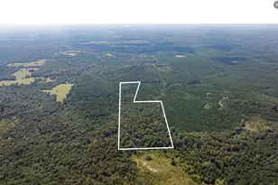 Tbd County Road 1582, Avinger, TX 75630 - Photo 8