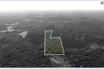 Tbd County Road 1582, Avinger, TX 75630 - Photo 10