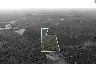 Tbd County Road 1582, Avinger, TX 75630 - Photo 10