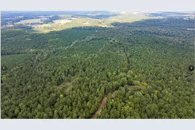 Tbd County Road 1582, Avinger, TX 75630 - Photo 2